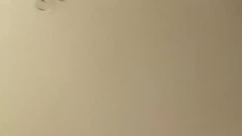 SnowBunny online show from 01.26.25