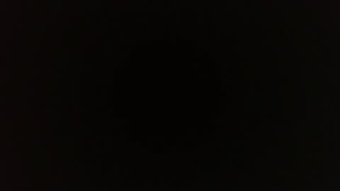 saugeil123 online show from 01.16.26