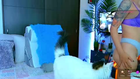   Dela  online show from 01.07.26