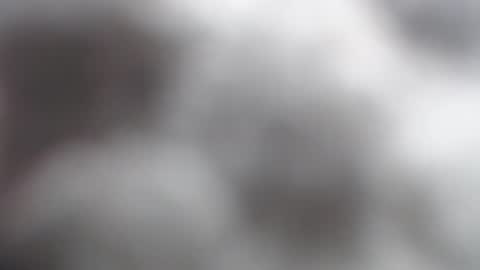 savagebarbie01 online show from 11.02.25