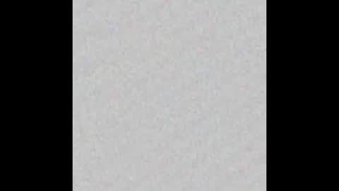 Venus online show from 02.02.25