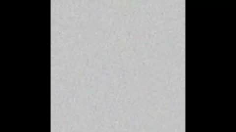 Venus online show from 09.15.25