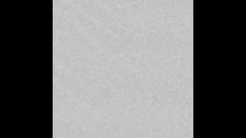 Venus online show from 11.23.25