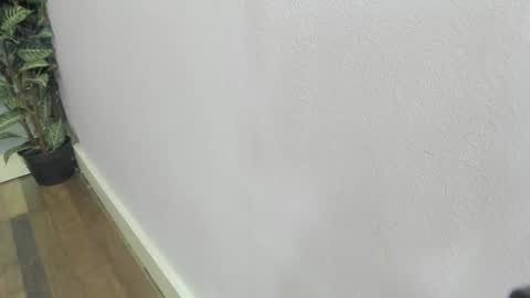 Scarlett 3 online show from 02.22.26