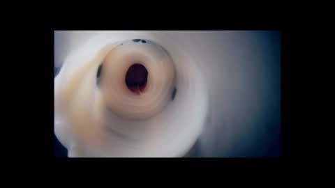 Scarr online show from 02.02.26