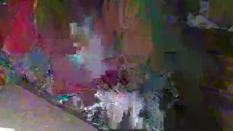 scotthard online show from 11.23.25