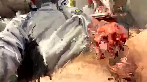 scottj603603 online show from 02.18.26