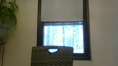 scottpbi52 online show from 01.02.25