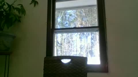 scottpbi52 online show from 01.22.25