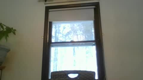 scottpbi52 online show from 02.20.25