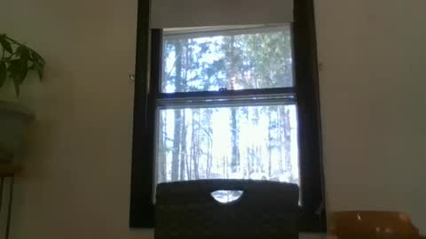 scottpbi52 online show from 03.10.25