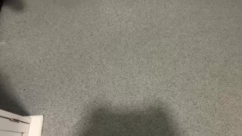 Snapshot of scottyc48 chatting on 12.17.25 scottyc48 online show from 12.17.25