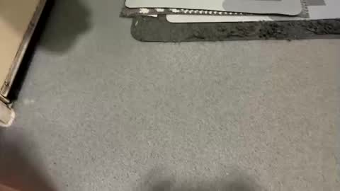 Snapshot of scottyc48 chatting on 12.19.25 scottyc48 online show from 12.19.25