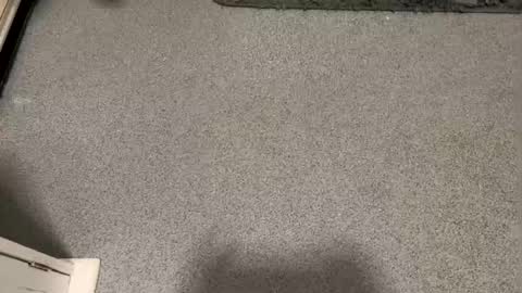 Snapshot of scottyc48 chatting on 01.12.26 scottyc48 online show from 01.12.26