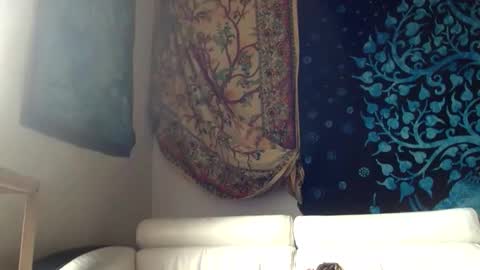 sealomel online show from 04.15.26