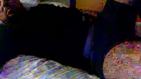 dick online show from 02.19.25