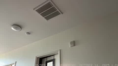 Sebastian online show from 10.15.25