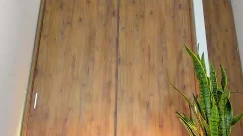 Snapshot of sebas_w01 chatting on 02.03.26 sebastian online show from 02.03.26