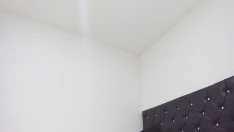 SEBAS  online show from 02.26.25