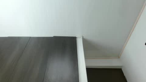 Snapshot of sebastiano_97 chatting on 01.13.25 Sebastiano online show from 01.13.25