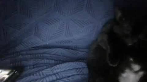 Sunny online show from 03.18.26