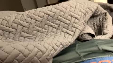 Snapshot of secretlyseductive9399 chatting on 12.08.24 secretlyseductive9399 online show from 12.08.24