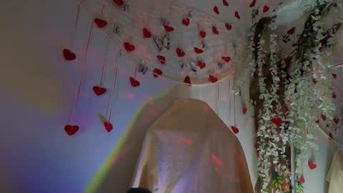 Mali online show from 02.20.26