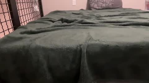 seeminglyscarlette online show from 10.08.25