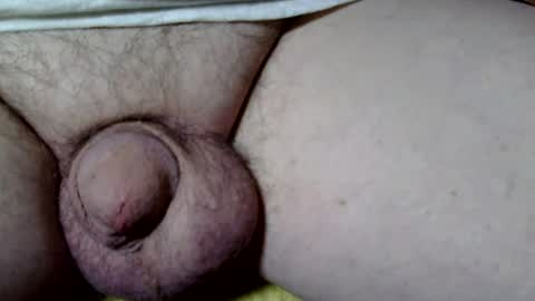 seeus24 online show from 11.02.25