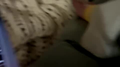 senecathestoic25 online show from 02.09.26