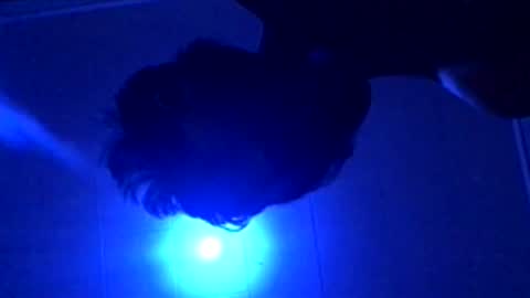 senseisalami online show from 11.27.25