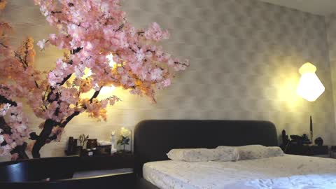 Gia online show from 12.28.24