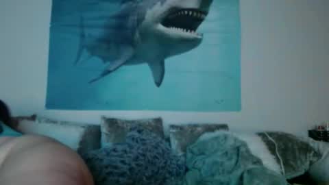 Serenity online show from 02.25.25