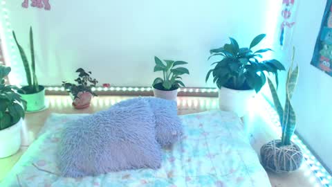 samy online show from 04.10.26