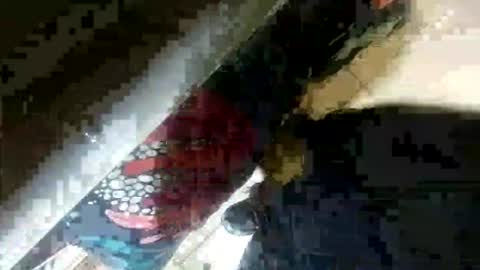 seus1149 online show from 07.23.26