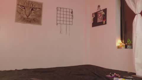 Alexis online show from 11.05.25