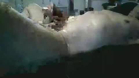 sexboy1437 online show from 11.24.25