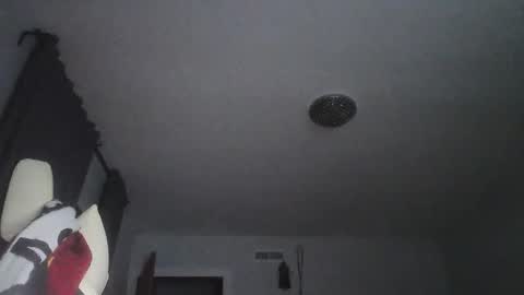 Snapshot of sexbrute chatting on 05.17.26 sexbrute online show from 05.17.26