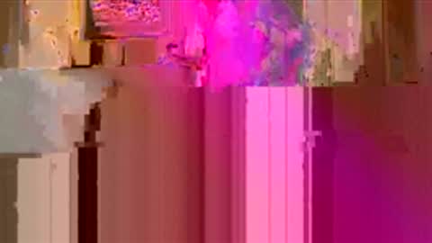 Snapshot of sexdoll530353 chatting on 04.05.26 sexdoll530353 online show from 04.05.26