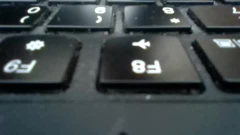 dankdiggler online show from 12.01.25