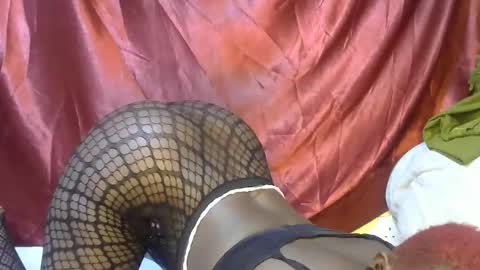 Snapshot of sexxy_triza chatting on 09.21.25 triza online show from 09.21.25