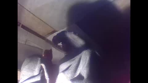 sexy15802 online show from 01.04.25