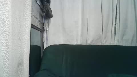 Snapshot of sexy_zapphire2024 chatting on 12.05.24 sexy_zapphire2024 online show from 12.05.24