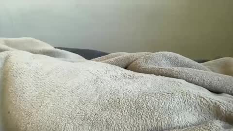 ALAYA  online show from 11.29.25