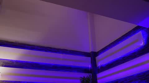 Celline online show from 11.27.25