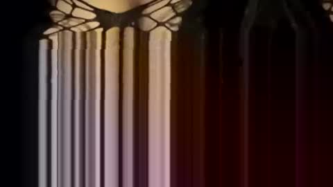 Forever Erotica online show from 01.12.26