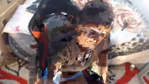 sexyjustin202 online show from 11.12.25