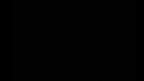 In the night in South America online show from 02.25.25