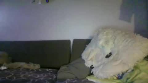 Snapshot of shafte1981 chatting on 06.02.26 shafte1981 online show from 06.02.26