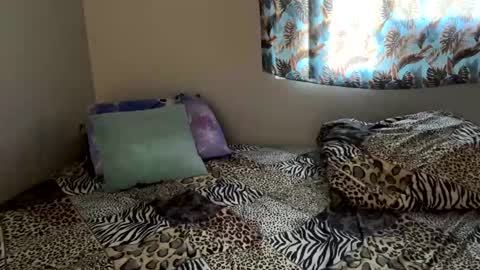 Shaman Woman online show from 12.06.24